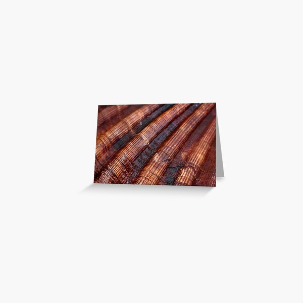 Connemara scallops Greeting Card