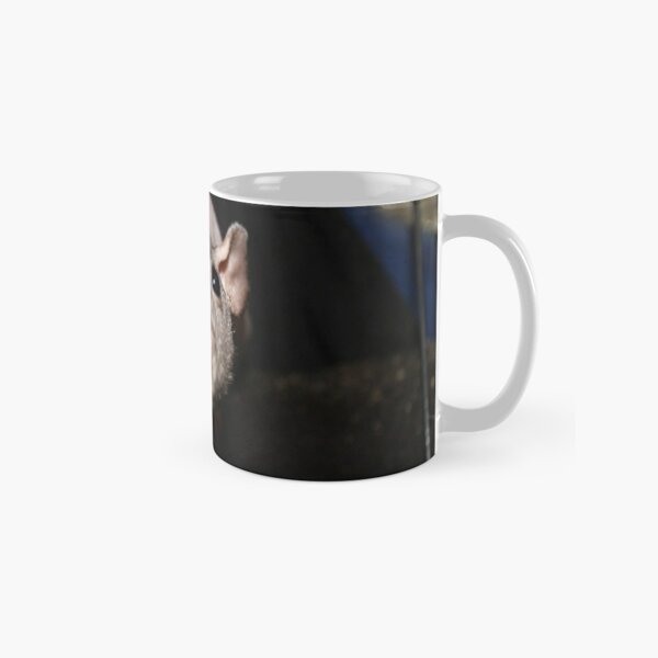 https://ih1.redbubble.net/image.996111602.2824/mug,standard,x334,right-pad,600x600,f8f8f8.u3.jpg