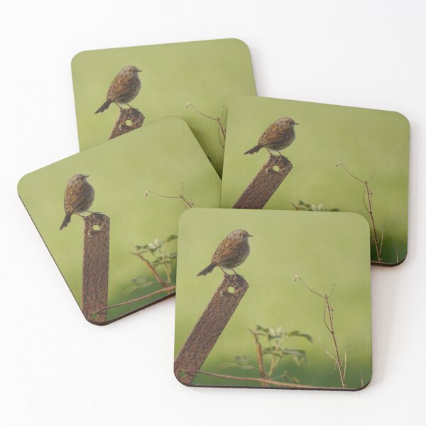 Item preview, Dunnock on the Lookout designed and sold by Adrian Wale.