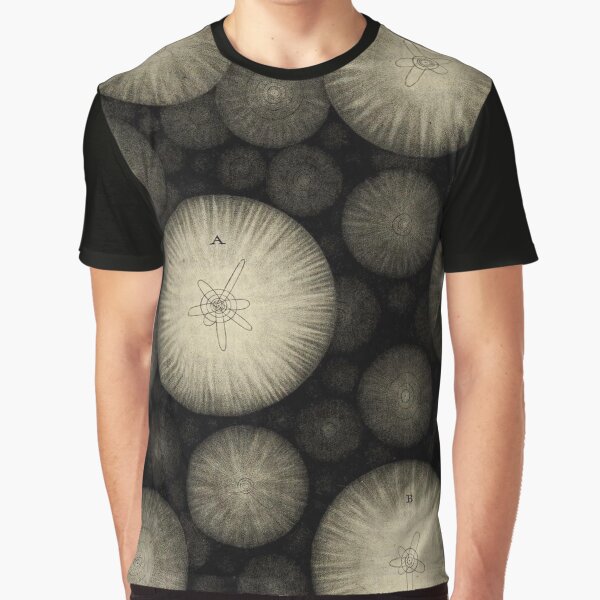 Plate 17 Graphic T-Shirt