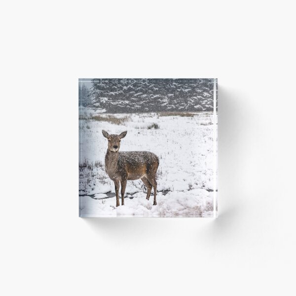 Item preview, Scottish Snow Doe designed and sold by Jay Mayne.