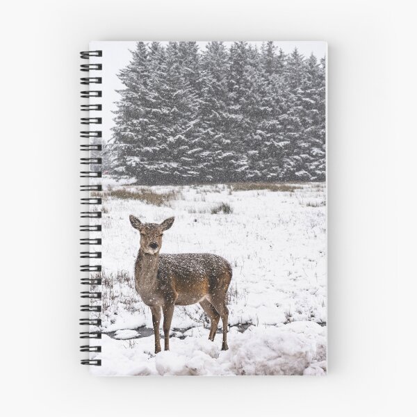 Item preview, Scottish Snow Doe designed and sold by Jay Mayne.