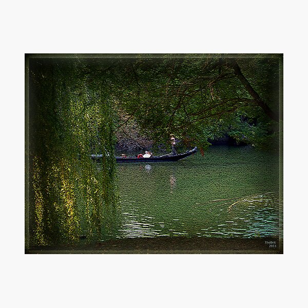 Gliding along in the breeze Photographic Print