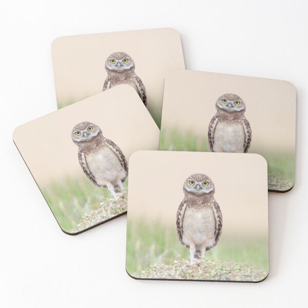 Item preview, Shocked Owl designed and sold by mlorenz.