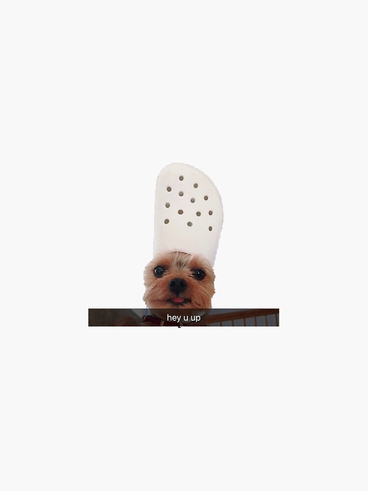 Dog with croc 2024 on head sticker