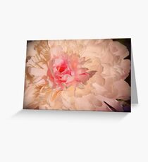Flower feed the Soul Greeting Card