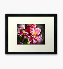 Flowers really do intoxicate me. Framed Print