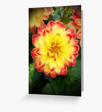 Earth laughs in flowers. Greeting Card