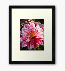 Flowers whisper "Beauty!" to the world Framed Print