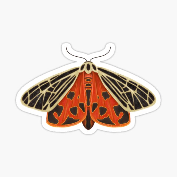 Painted Tiger Moth Sticker