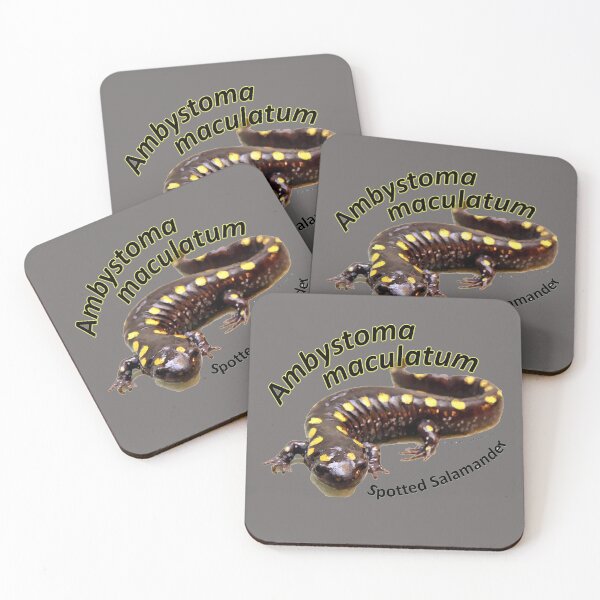 Item preview, Spotted Salamander - Ambystoma maculatum designed and sold by 28TEES.