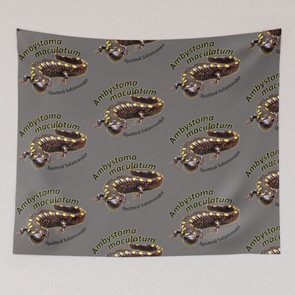 Item preview, Spotted Salamander - Ambystoma maculatum designed and sold by 28TEES.
