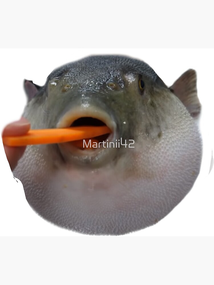 "Pufferfish Eating a Carrot" Sticker by Martinii42 | Redbubble