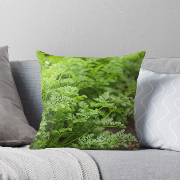Item preview, tops carrot leaves on bed in garden at summer day in selective focus. homemade eco vegetables concept designed and sold by alexvioletart.