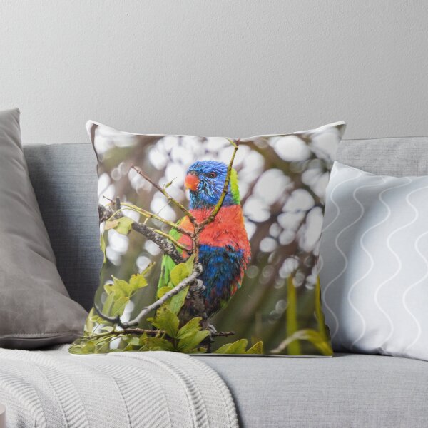 Item preview, arco iris lorikeet designed and sold by Balefirefantasy.