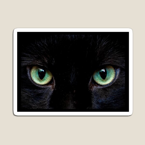 Produits Sur Le Theme Yeux De Tigre Redbubble