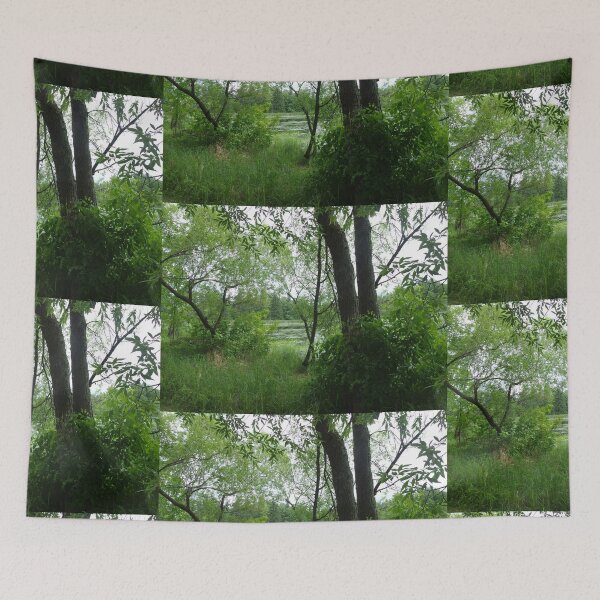 Item preview, A Hidden Pond designed and sold by LadyRachelJ.