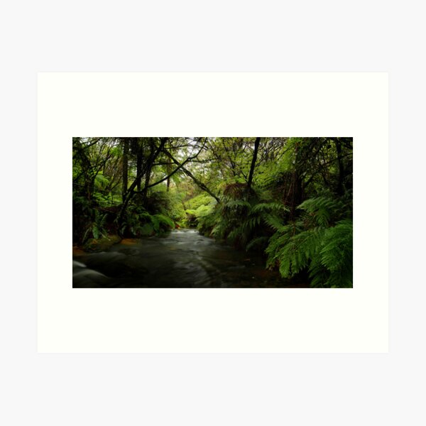 Item preview, Leura Falls Creek, New South Wales. designed and sold by Andy Newman.