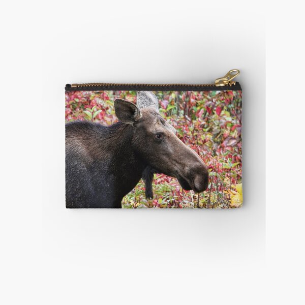 Item preview, Moose and Colorful Autumn Leaves - Head Shot designed and sold by Peggy Collins.