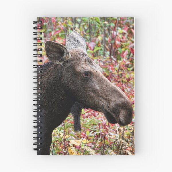 Item preview, Moose and Colorful Autumn Leaves - Head Shot designed and sold by Peggy Collins.