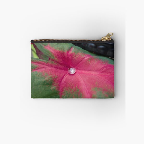Item preview, Morning dew drop on leaf designed and sold by CSSphotos.