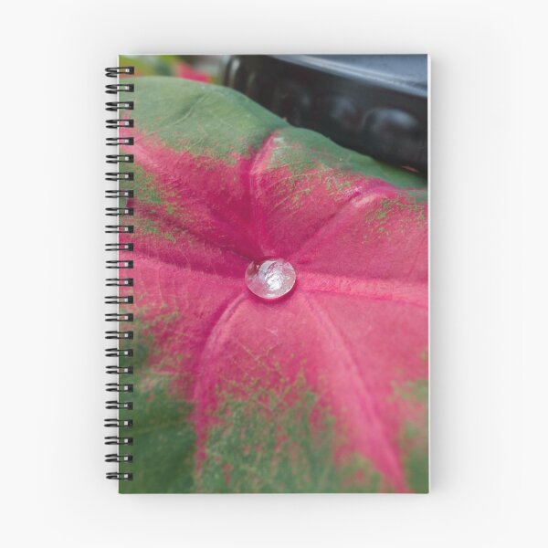 Item preview, Morning dew drop on leaf designed and sold by CSSphotos.