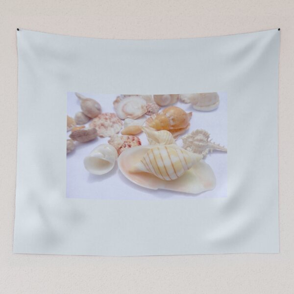 Item preview, Sea Shells 2 by Orikall designed and sold by HippieWorks.