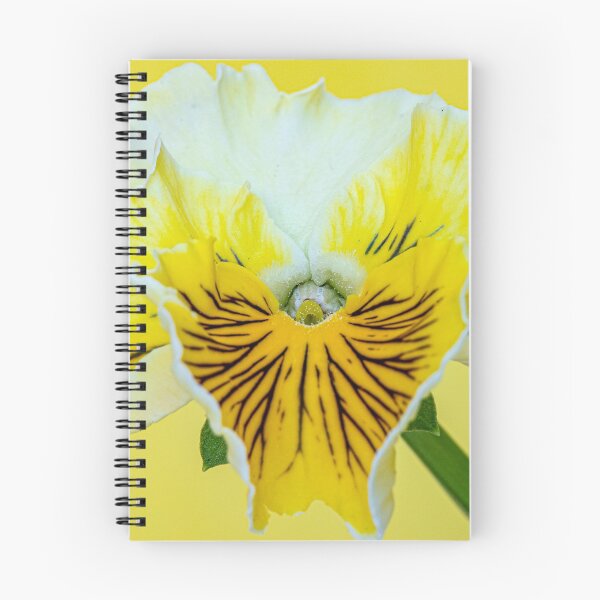 Item preview, Yellow PansyYellow Pansy, Yellow, Pansy,   designed and sold by DPalmer.