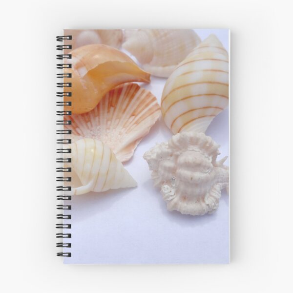 Item preview, Sea Shells by Orikall designed and sold by HippieWorks.