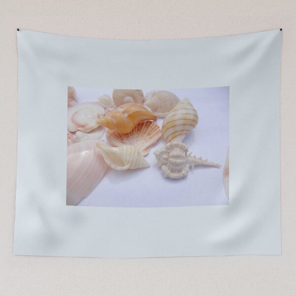 Item preview, Sea Shells by Orikall designed and sold by HippieWorks.