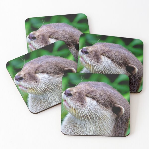 Item preview, Happy otter smiles in the sun. designed and sold by shaynetwright.