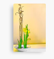 Abstract Ikebana Canvas Print