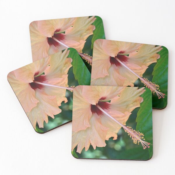 Item preview, Pastel hibiscus designed and sold by Art in Nature.