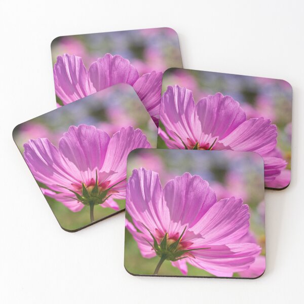 Item preview, Cosmos in the sunshine designed and sold by Art in Nature.