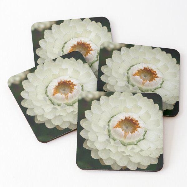 Item preview, Petal precision designed and sold by Art in Nature.