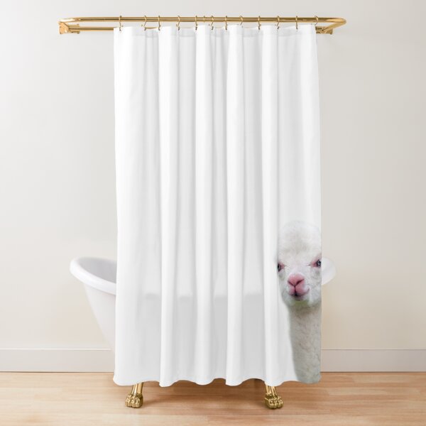 White Baby Alpaca, Llama, Cria Shower Curtain