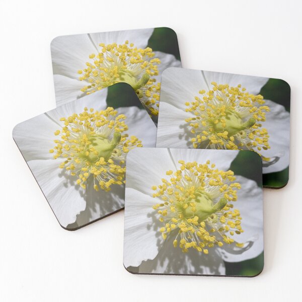 Item preview, Bush anemone designed and sold by Art in Nature.