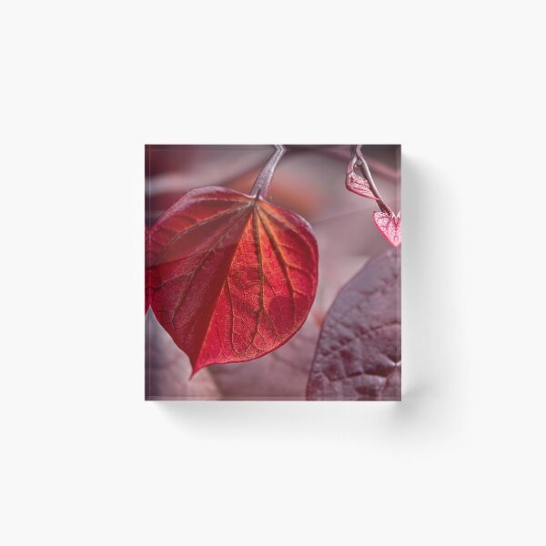 Item preview, Leafing out in red designed and sold by Art in Nature.