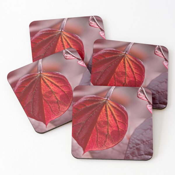 Item preview, Leafing out in red designed and sold by Art in Nature.