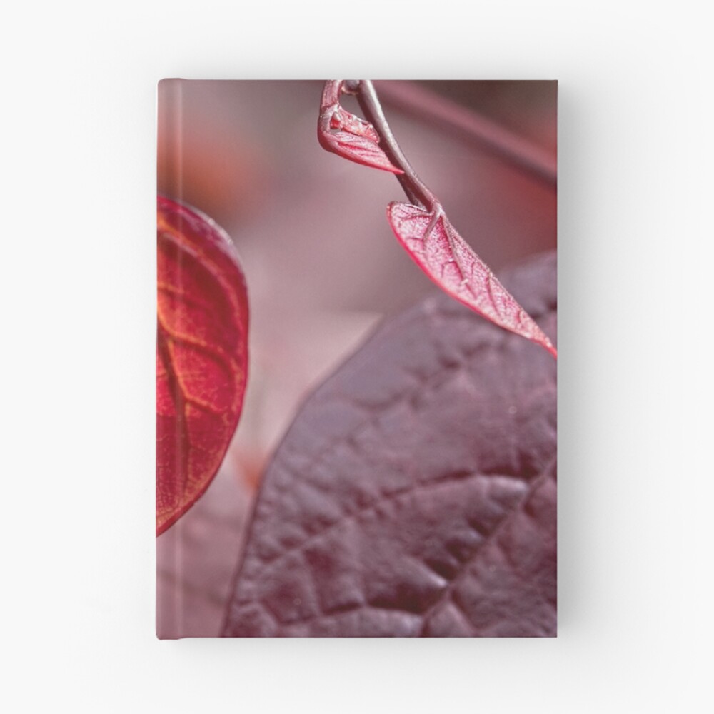 Artikel-Vorschau von Notizbuch, designt und verkauft von celestem.