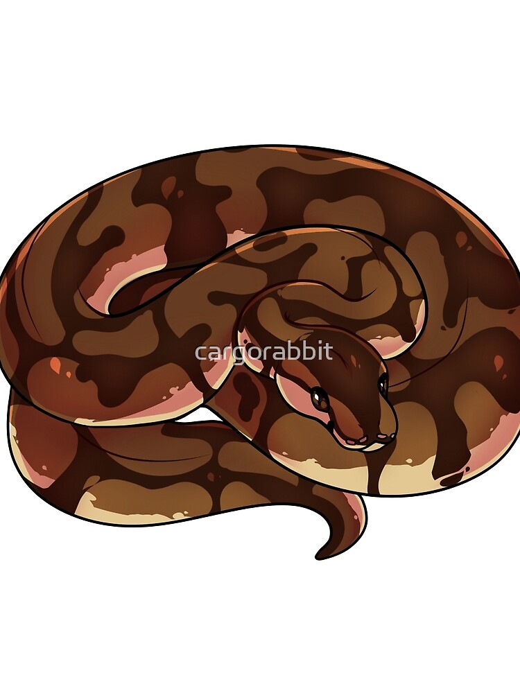 Thumbnail 3 of 3, Scarf, Normal Ball Python V2 designed and sold by cargorabbit.