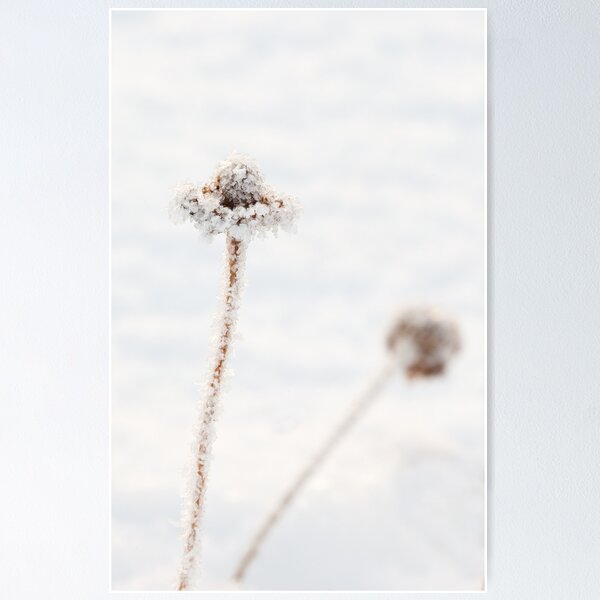 Item preview, Frozen Stem designed and sold by Platslee.