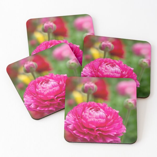 Item preview, Ranunculus garden designed and sold by Art in Nature.
