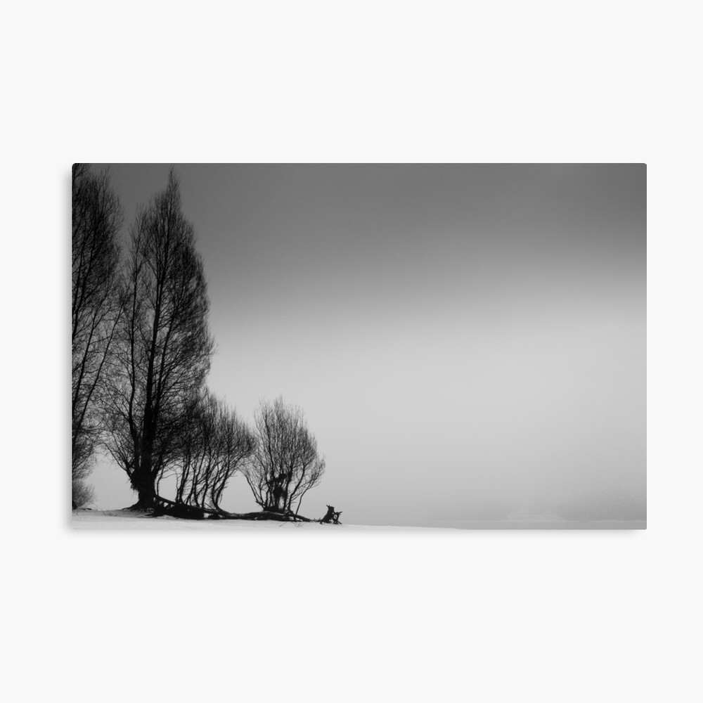 Deep Winter Lienzo