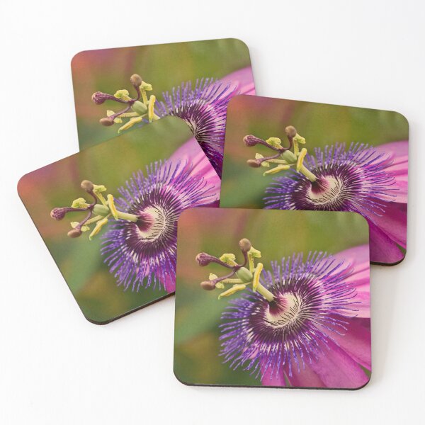Artikelvorschau, Passionsblume in Rosa und Lila entworfen und verkauft von Art in Nature.