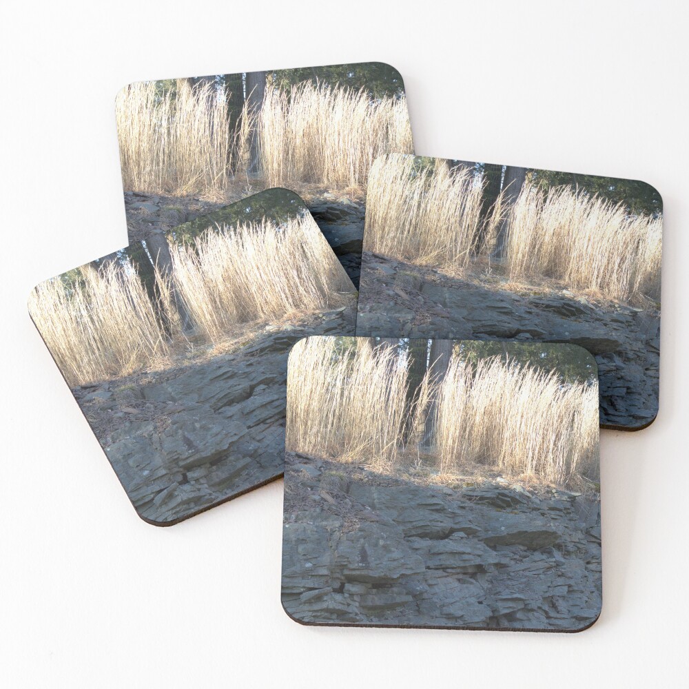 Item preview, Coasters (Set of 4) designed and sold by Riddick4x5.