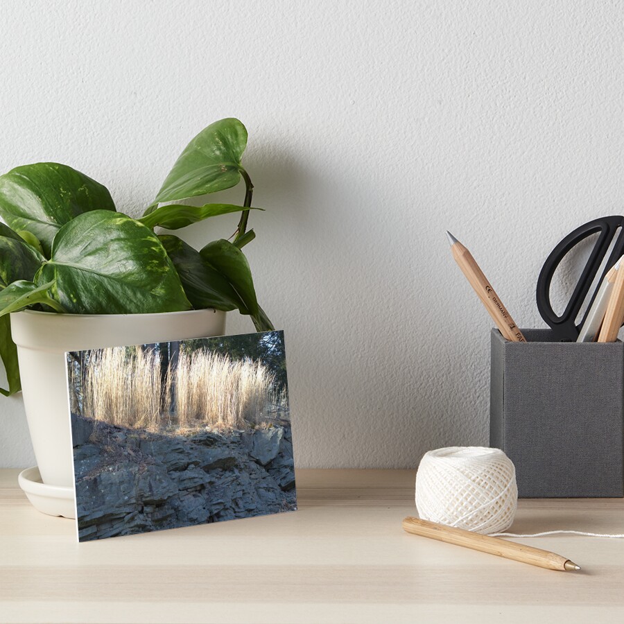 Item preview, Art Board Print designed and sold by Riddick4x5.