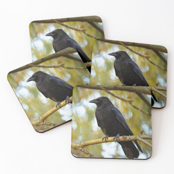 Item preview, Black raven designed and sold by Tadas Svetikas.
