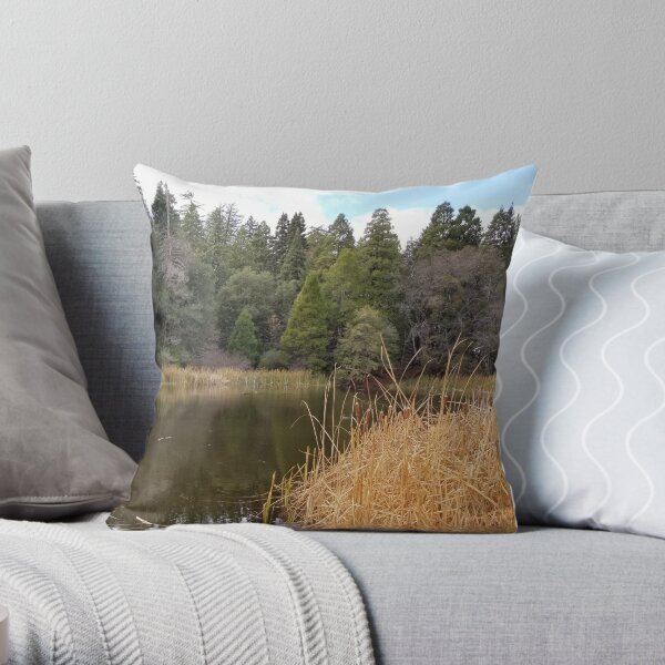 Mountain pond in the fall Throw Pillow