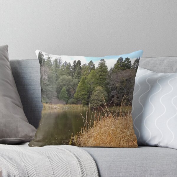 Mountain pond in the fall Throw Pillow